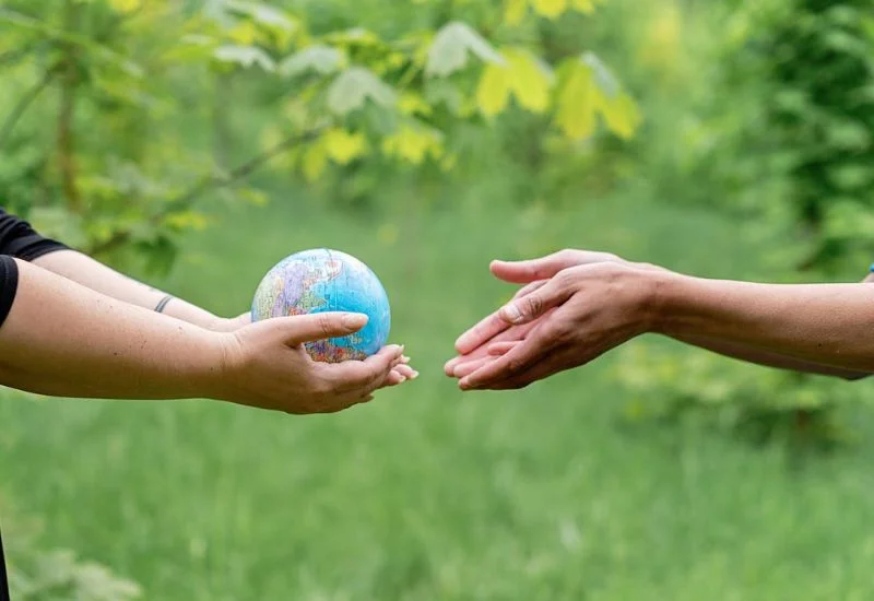 Beyond Business Contributions